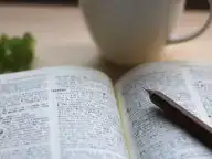 【自己投資】スピードラーニングはやめとけ！純日本人の理系女子がマルチリンガルになった勉強法